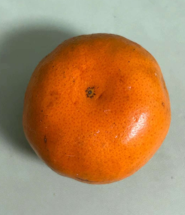 1716971893647.png